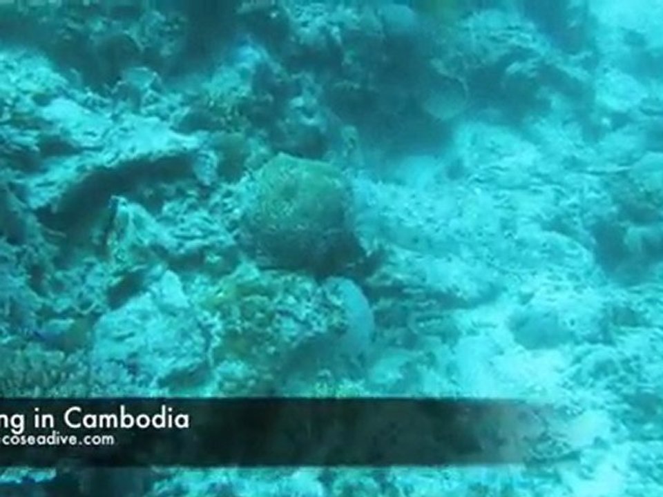 Diving in Cambodia