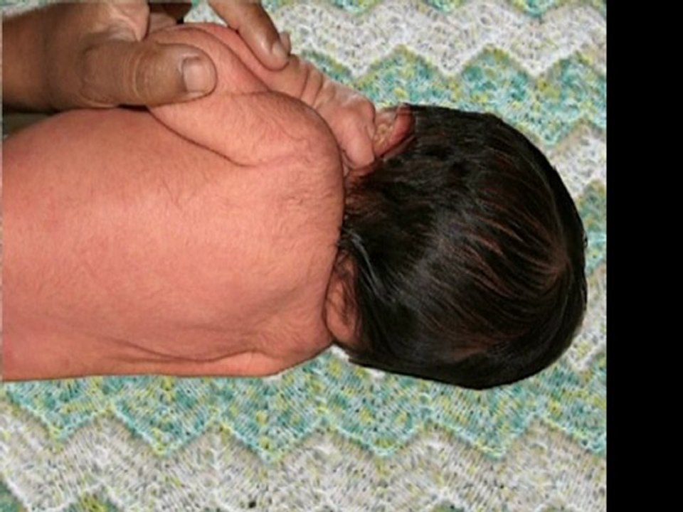 Jacob Steals Esau's Birthright