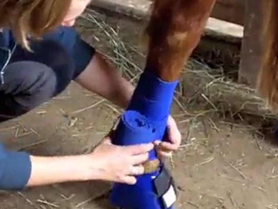 How to put on a polo wrap