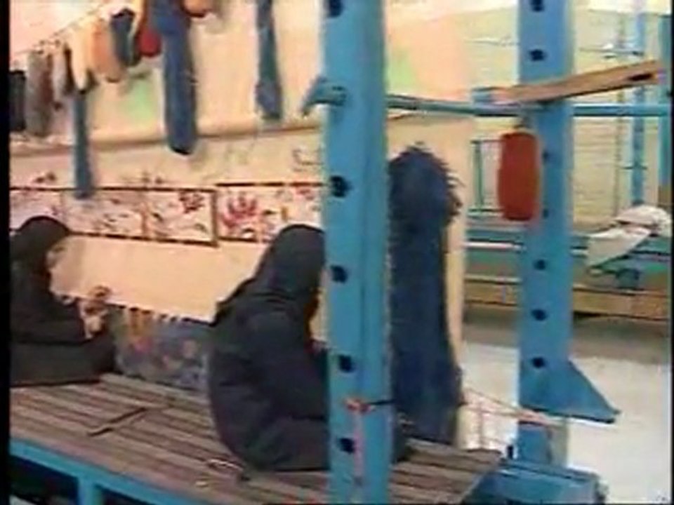 Le plus grand tapis du monde, the Largest rug in the world