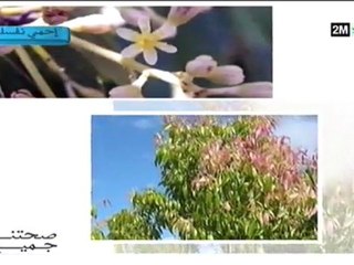 صحتنا جميع: الأحد 10 أبريل