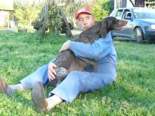 BARA BRAQUE ALLEMAND