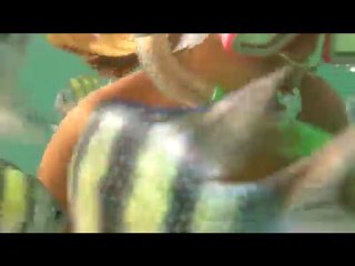 KO PHI PHI  snorkeling