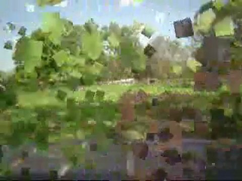 Tornado aux rênes longues