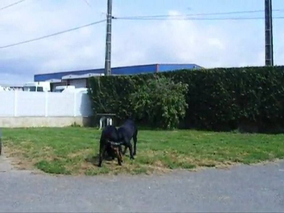 jeu véga éole le 10 04 2011