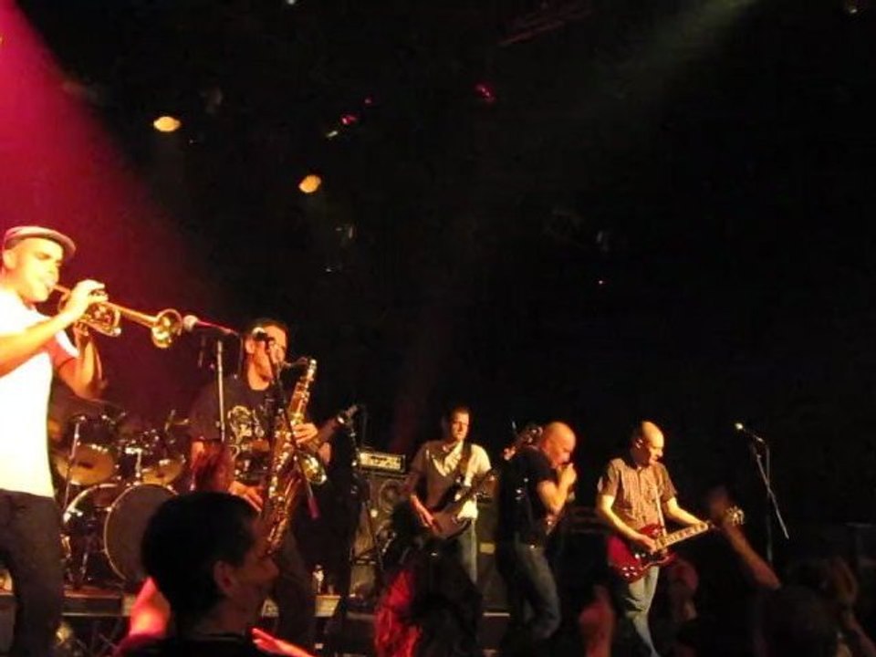 8°6 crew bad bad reggae