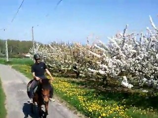 Balade Mornant 10/04/2011