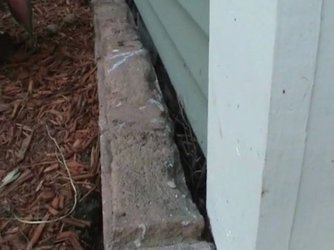 Houston Home Inspector: Rot Behind Flower Box