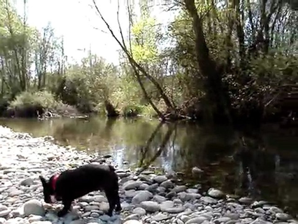 MOV00895