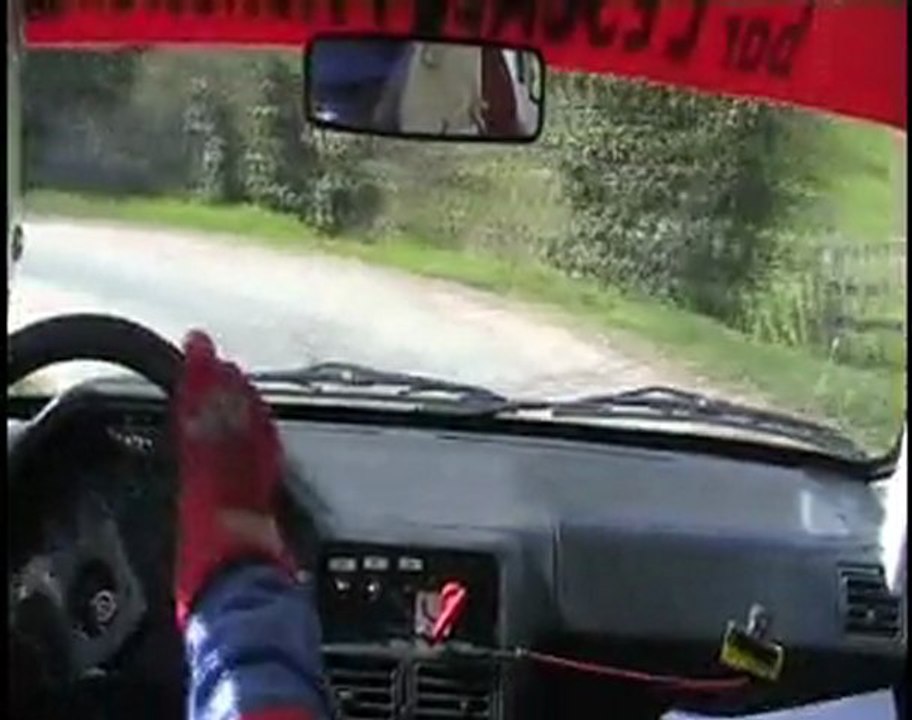 Vignes de Regnié 2011 ES2