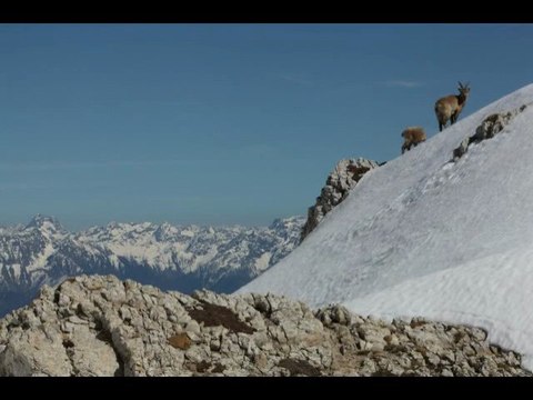 Depuis le sommet du Grand Veymont