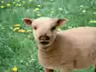 fokaha 2011 foukaha 2011-www.fokaha2011.tk