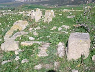 LES RICHESSES ARCHEOLOGIQUES DU DJEBEL GORRA. TUNISIE