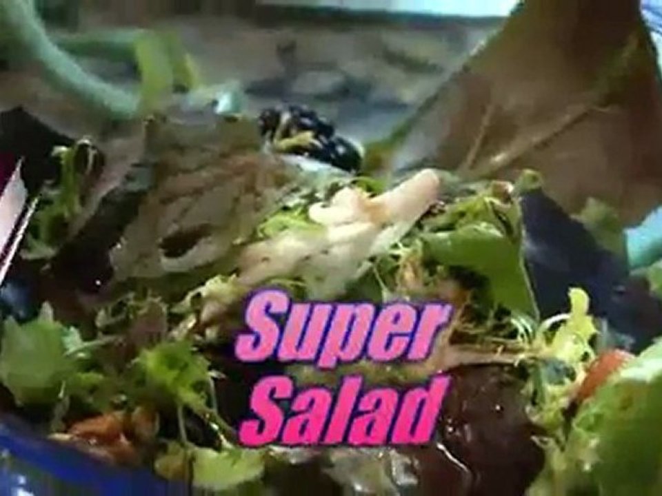 17 Day Diet By Mike Moreno EBOOK PDF Video Dailymotion
