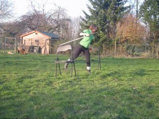 Séance du 20 mars 2011