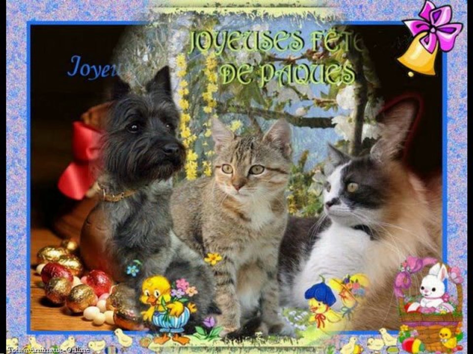 Chats de Pâques