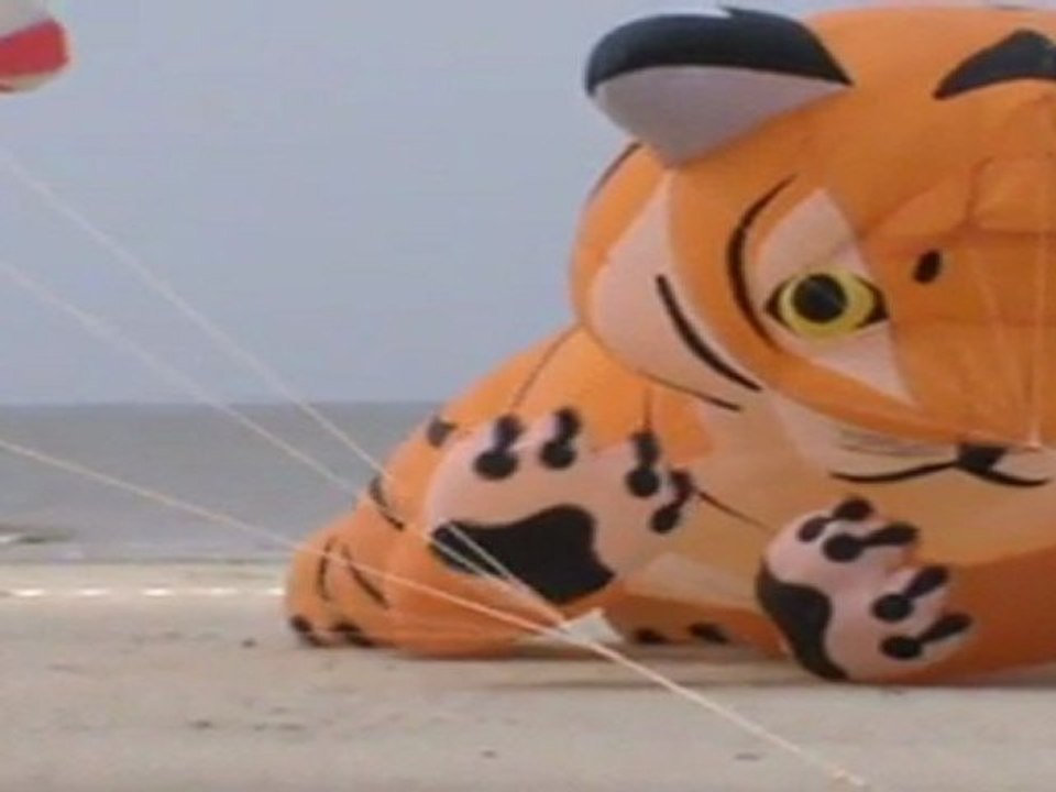 Bande-Annonce des Cerfs-Volants de Berck 2011