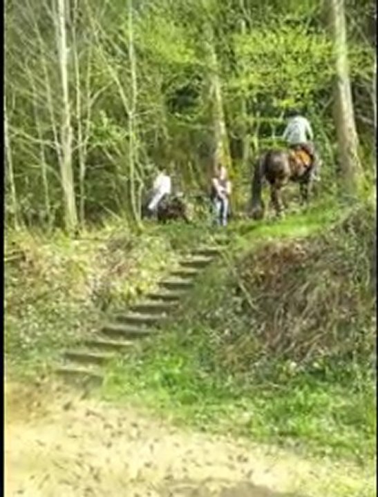 Ulys escalier