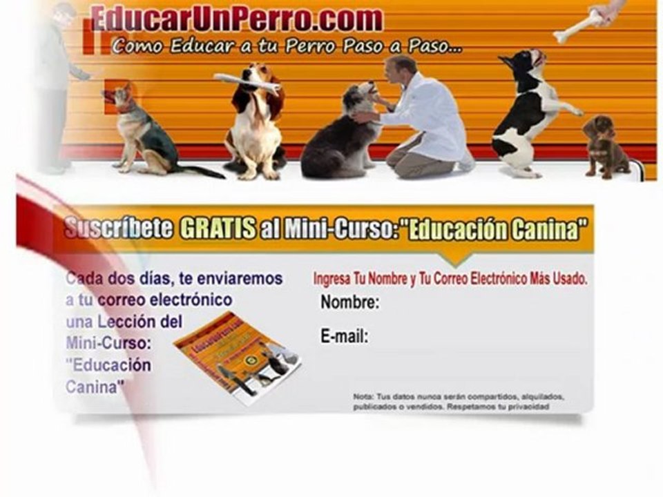 Como Educar a un Cachorro Facilmente