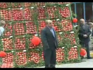 9. NAR FESTİVALİ 2007-2