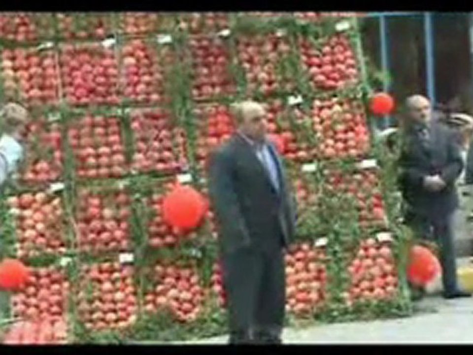 9. NAR FESTİVALİ 2007-2