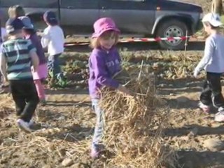 Tarbes - Ferme du haut de la côte