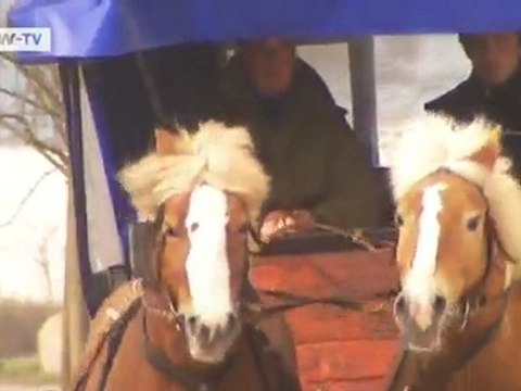 Recommended – Rügen | Discover Germany