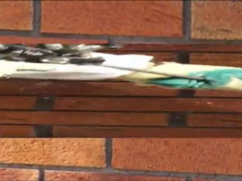 cavity INSULATION FOAM INJECTION FUSION INSULATION BIOFOAM