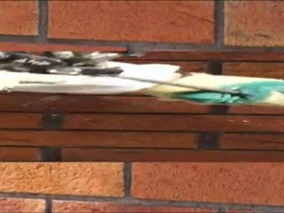 cavity INSULATION FOAM INJECTION FUSION INSULATION BIOFOAM