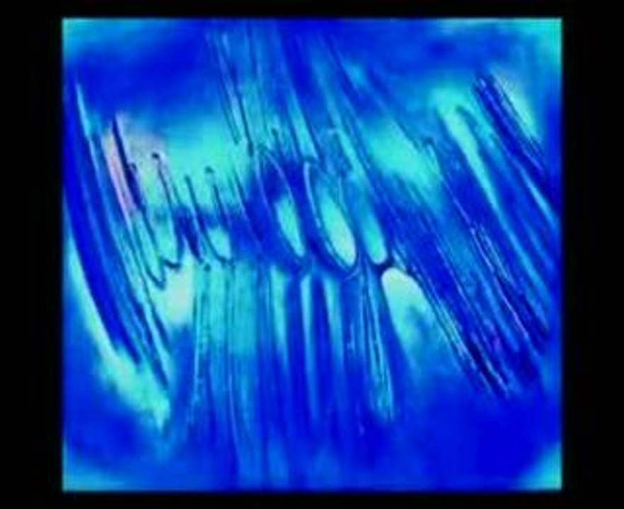 Tableaux de Mohamed IDrissi