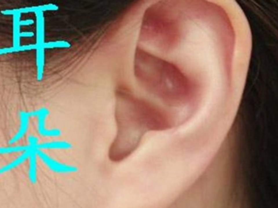 Cours de chinois-Corps1