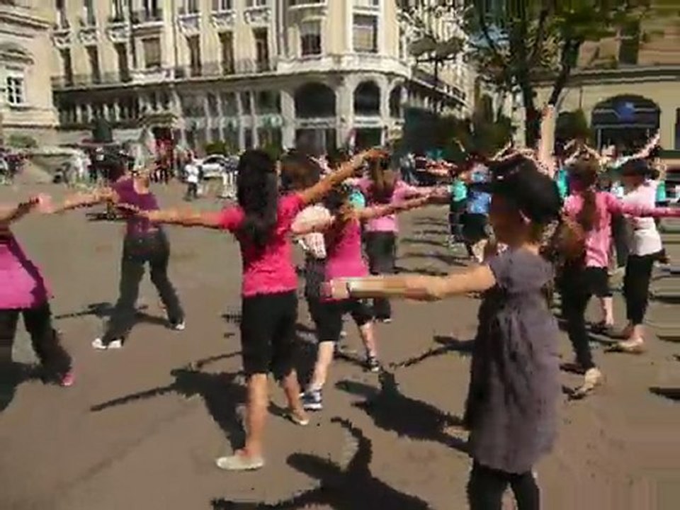 Flash Mod 42 2011 st etienne