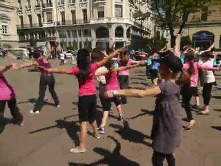 Flash Mod 42 2011 st etienne