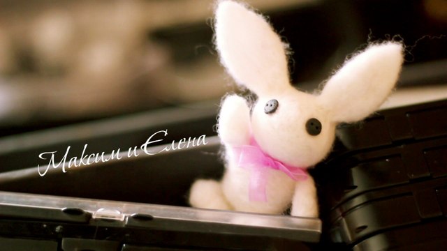 2011/02/12 свадьба Максим и Елена