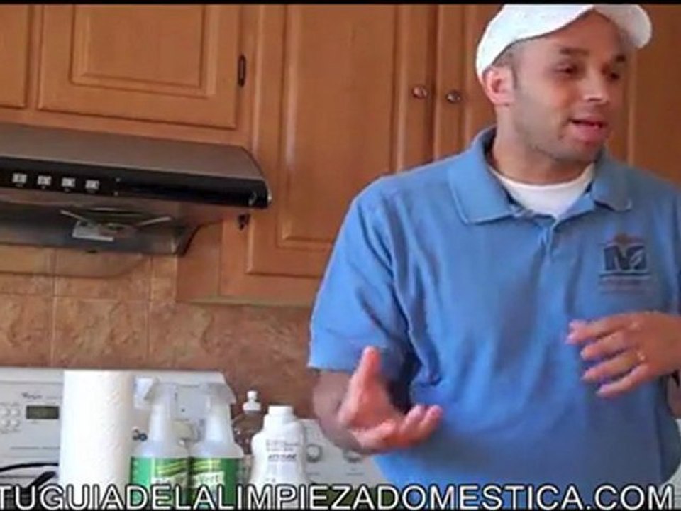 las empleadas domesticas y servicios domesticos y LA NEVERA O REFRIJERADOR