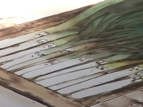 Un nouvel album jeunesse pour Josette Wouters