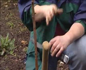 Charlie Dimmock-Tree Planting
