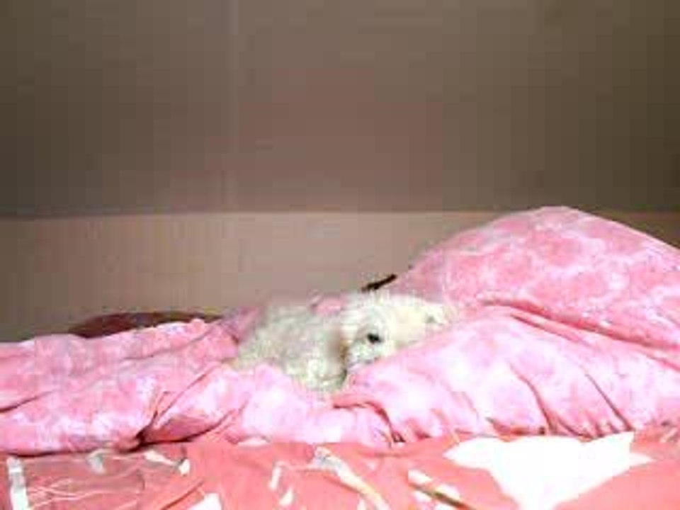 Aby au lit