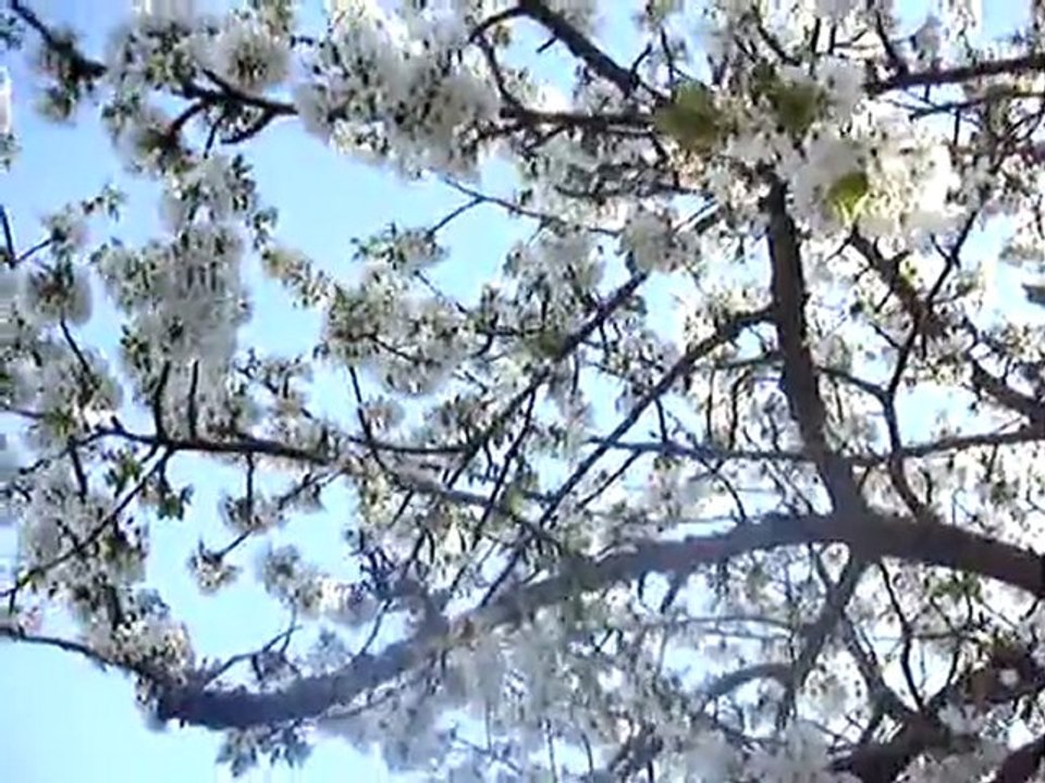 MOV05490