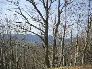 virée dans les Vosges