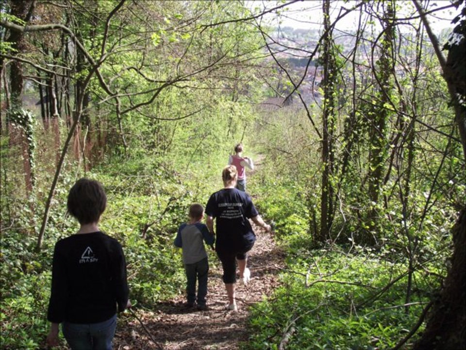 petite ballade en foret