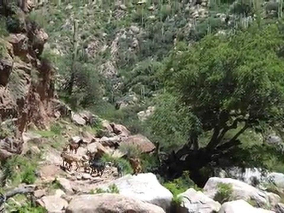 chemin cascades