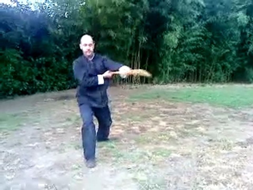 forme du baton long  yang franck ferriere