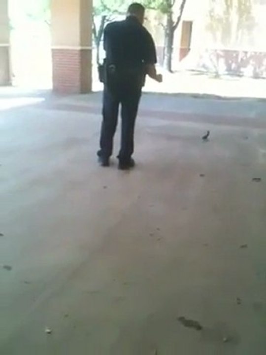 baby squirrel abuse