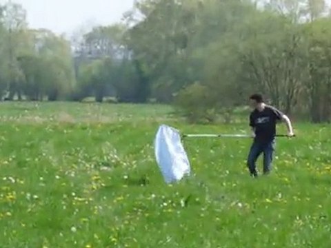 Cours, cours après les papillons!