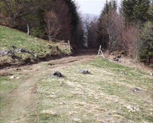 11 avril 2011 demontage voute empramaü