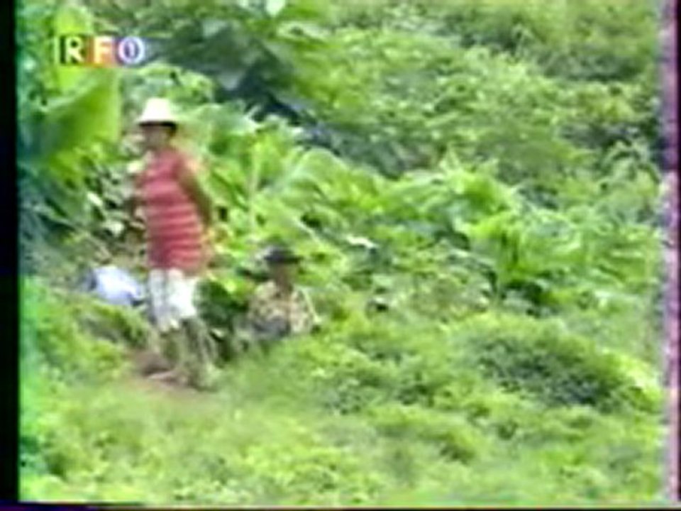 vieux ragga 974 + aim a nou sega  un amant