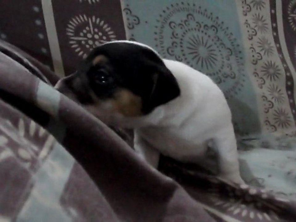 SAM_0365