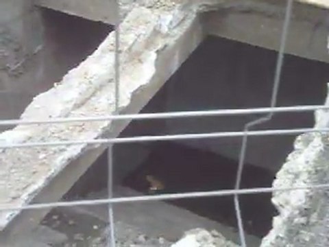 L'entrée d'un ancien tunnel visible pendant les travaux du tramway de 2011 Brest Recouvrance