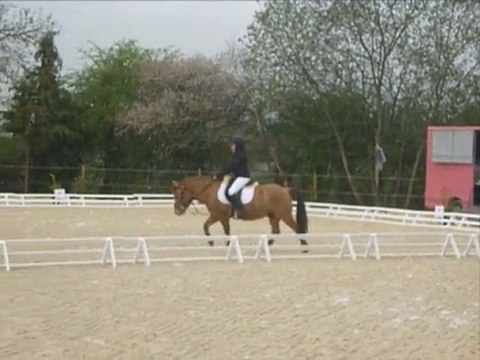 Concours dressage Club 3 Flocon Jeanne 03-04-11